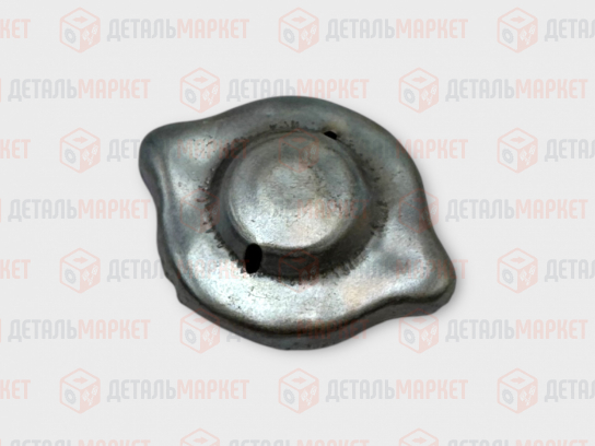 Пробка расширительного бачка 21010