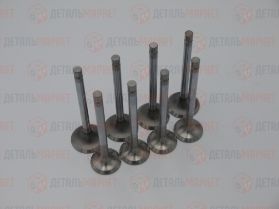 Комплект клапанов впуск/выпуск 21010 (8450109274)