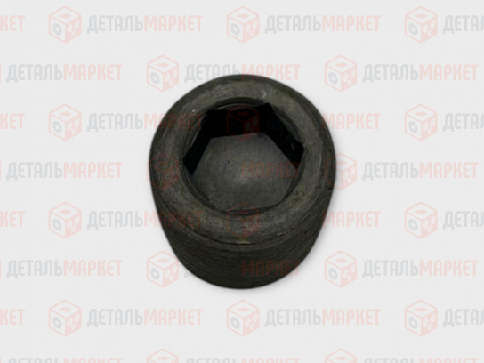 Пробка картера КПП магнитная 21010