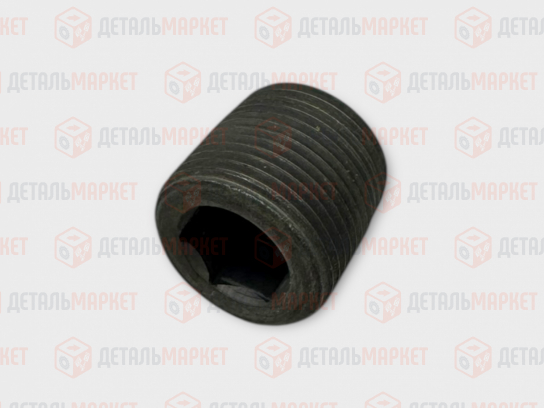 Пробка картера КПП магнитная 21010