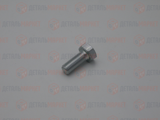 Болт М10х1,25х25 (8,8)