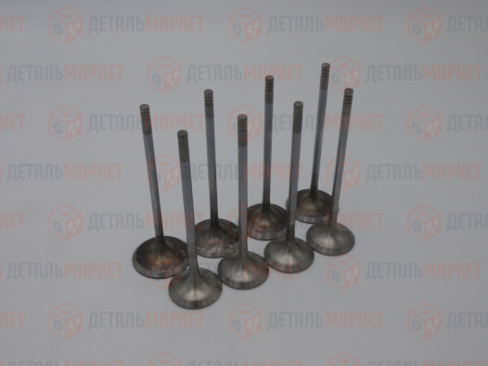 Комплект клапанов впуск/выпуск 11182 (1,6 V) (8 шт.) (8-ми клап. 90 л.с.)