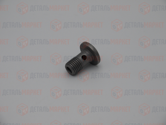 Болт-штуцер 21100 (М14х1,5) крепления шланга высокого давления ГУР