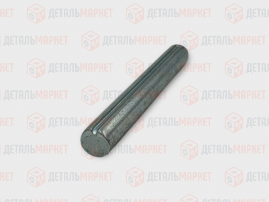 Ось петли двери 21080