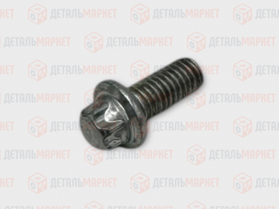 Болт втулки направляющей выжимного подшипника 21810 (8450006025)