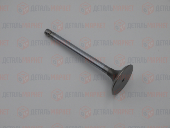 Комплект клапанов впуск/выпуск 21010 (8450109274)