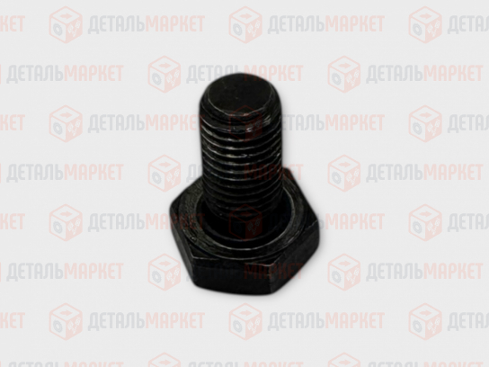 Болт дифференциала 21080 (М10*1,25*19)