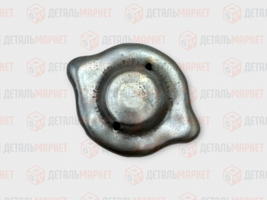 Пробка расширительного бачка 21010