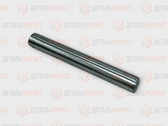 Ось петли двери 21080