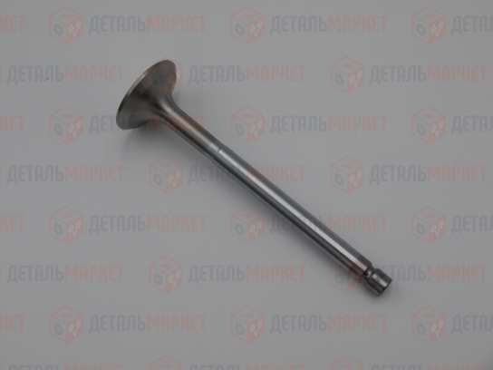 Комплект клапанов впуск/выпуск 21010 (8450109274)