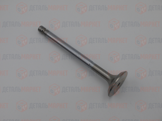 Комплект клапанов впуск/выпуск 21010 (8450109274)