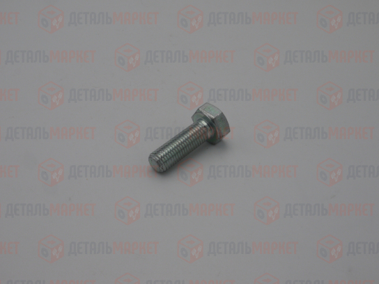 Болт М10х1,25х30 (8,8)