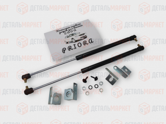 Комплект газовых упоров капота 21700