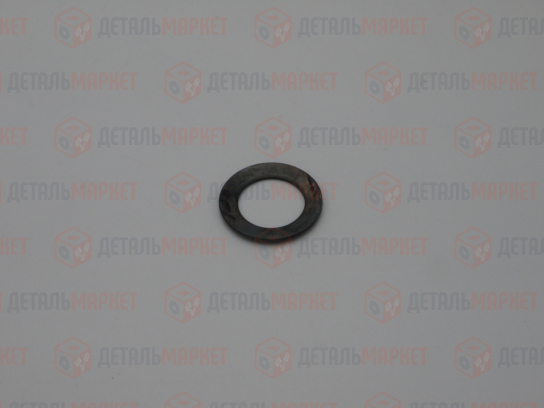 Шайба оси сателлитов пружинная 21210