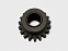 Шестерня заднего хода 21010 (маленькая) (с.о) со втулкой (19 зуб.)
