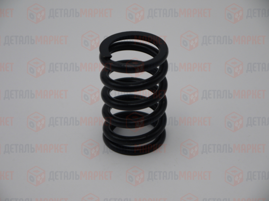 Пружина передней подушки подвески двигателя 21010