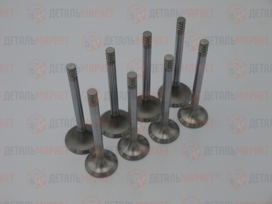 Комплект клапанов впуск/выпуск 21080 (8450109275)